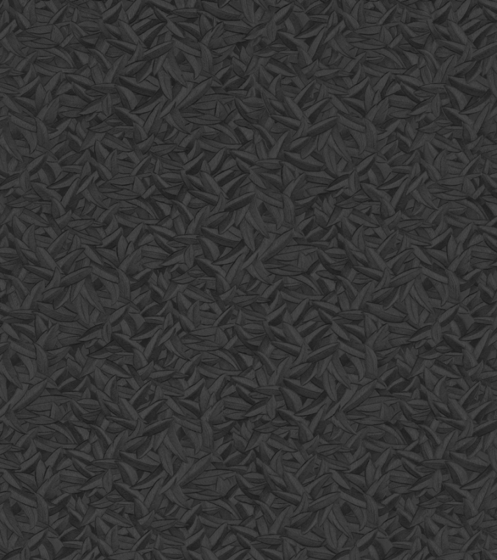52507 Oбои