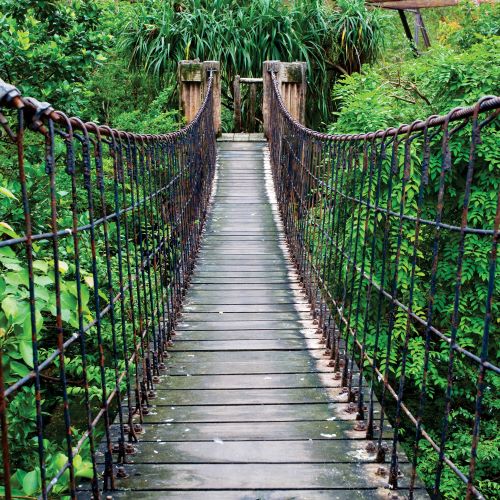 FL-170-025 Wooden bridge