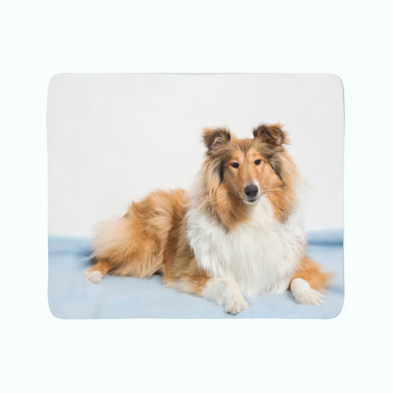 Fleece Blanket Beautiful Collie