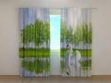 Photo curtains White Swan