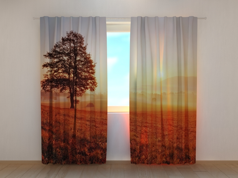 Photo curtains Sunset and Tree