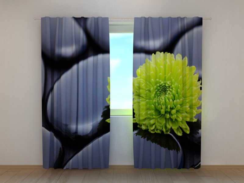 Photo curtains Chrysanthemum Harmony