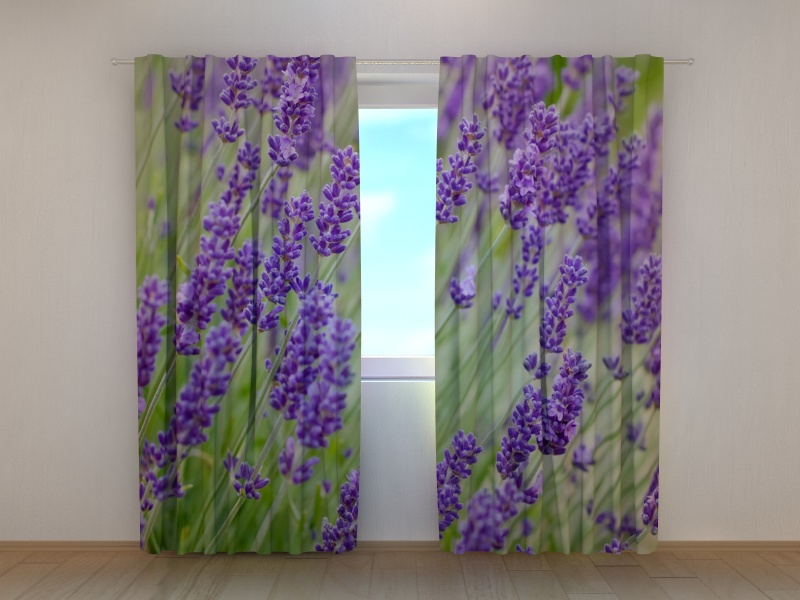 Photo curtains  Wildflowers