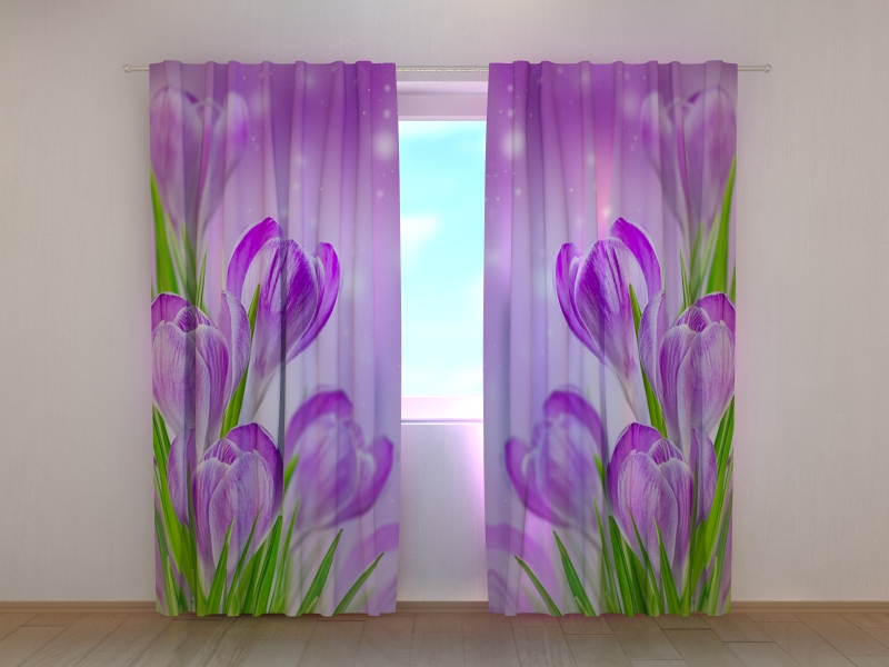 Photo curtains Spring Crocuses