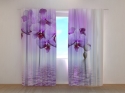 Photo curtains Lilac Beauty