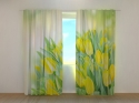 Photo curtains Spring Bright Yellow Tulips