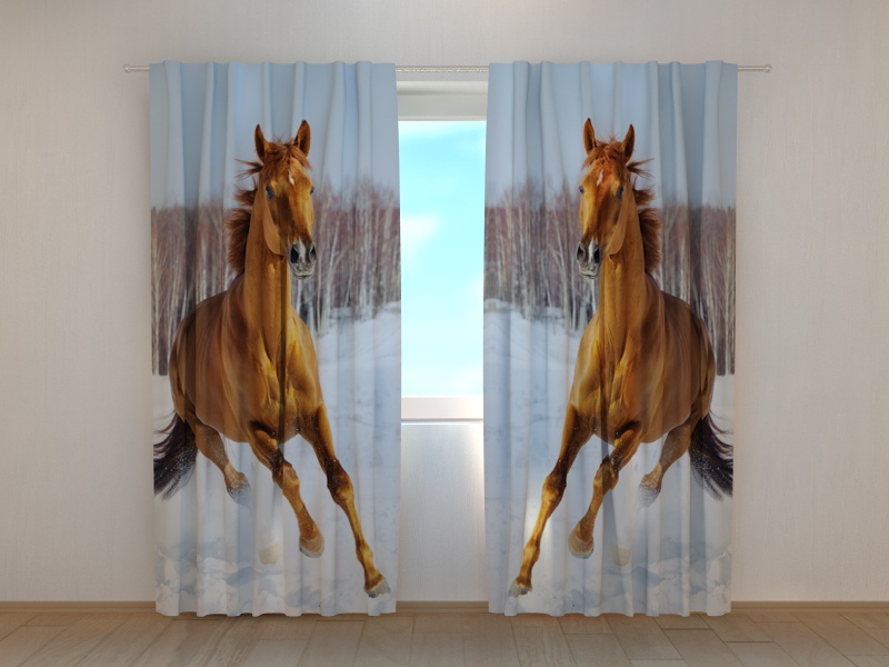 Photo curtains Like the Wind