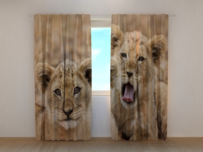 Photo curtains Two Lion Cub