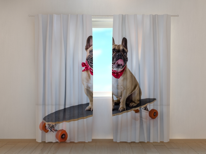 Photo curtains French Bulldog on Skateboard