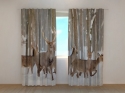 Photo curtains Deer in Winter