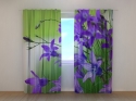 Photo curtains Blue Bellflowers