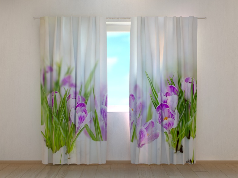 Photo curtains Crocuses on Snow