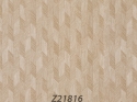 Z21816 Wallpaper