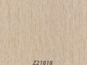Z21818 Wallpaper