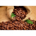 MS-5-0244 Coffee Beans
