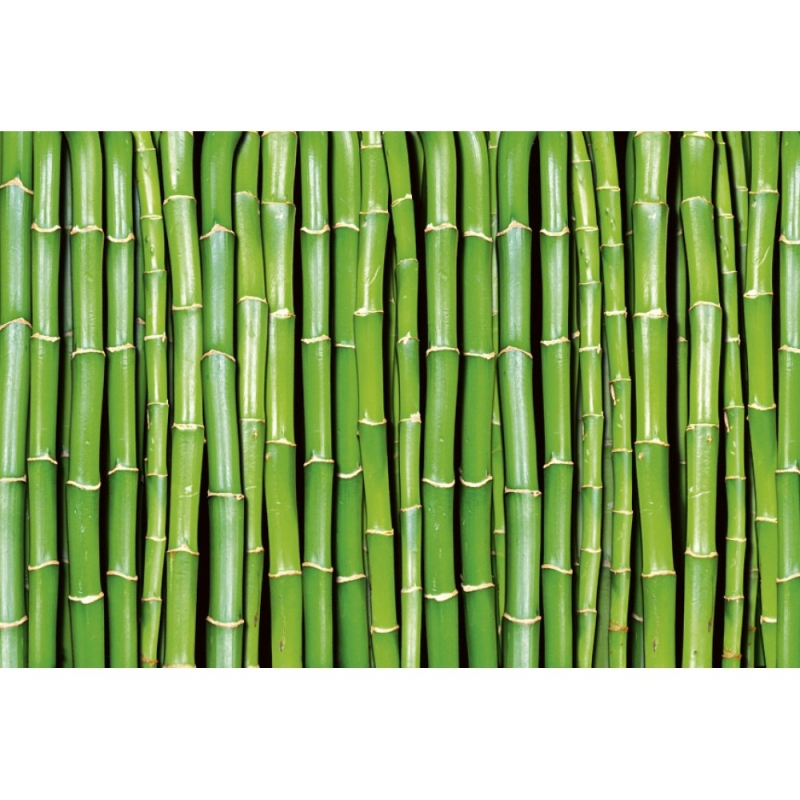 MS-5-0165 Bamboo