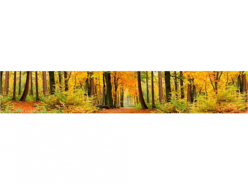 KI-045 Осенний лес