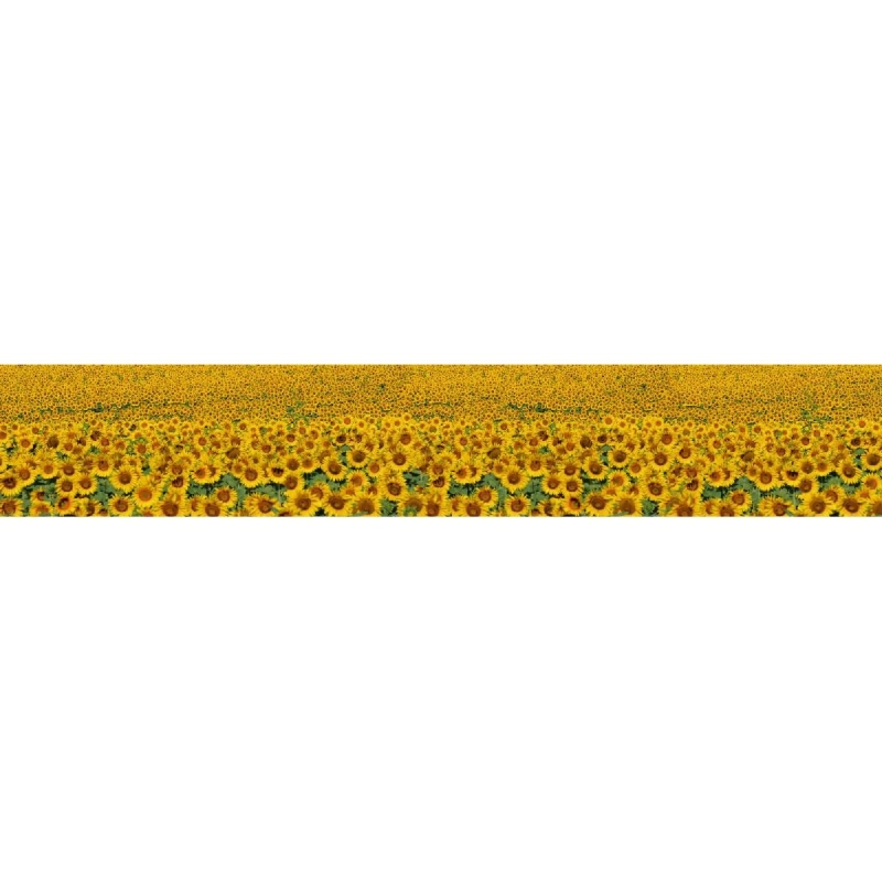 KI-030 Sunflower field