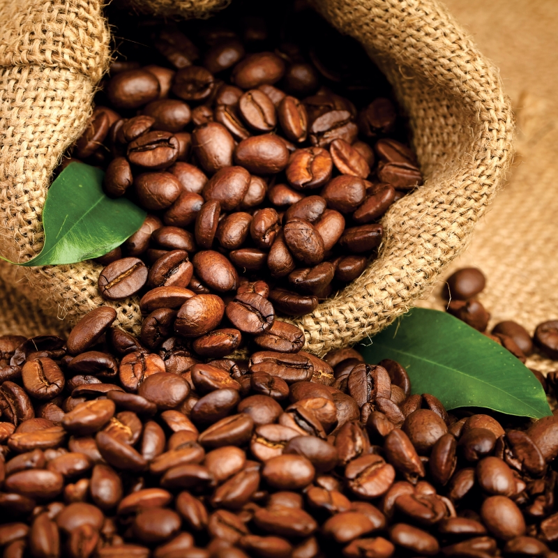 FL-255-012 Coffee beans