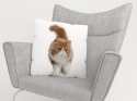 Pillowcase Fluffy Cat