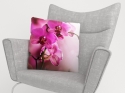 Spilvendrānas Violeta orhideja