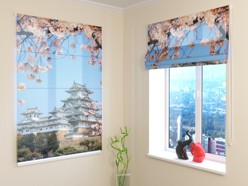 Roman Blind Japan