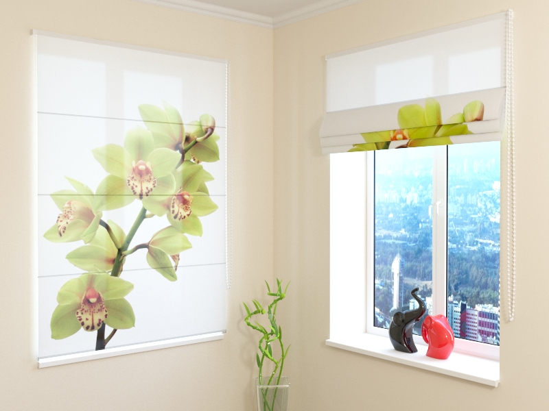 Roman Blind Light Green Orchid