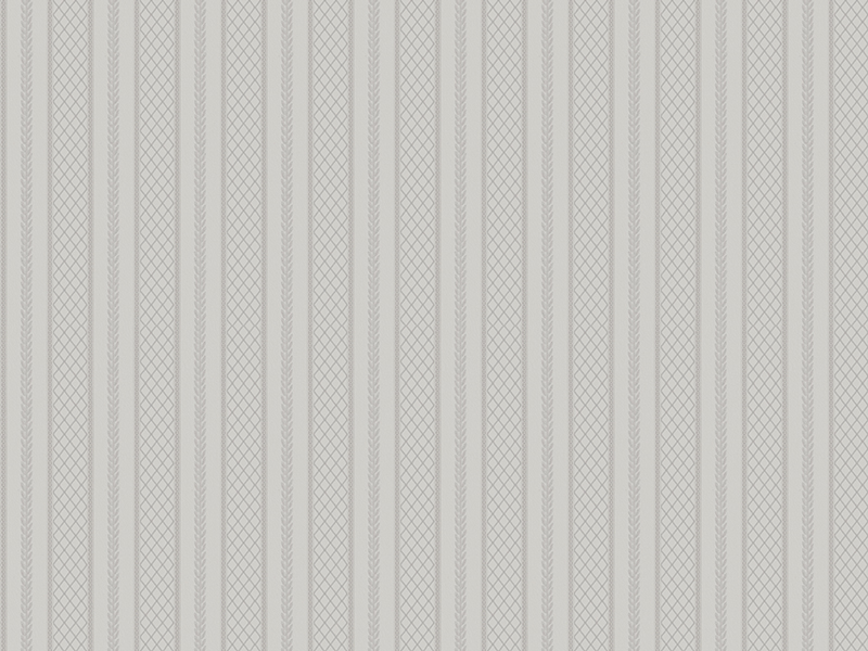 Z66848 Wallpaper