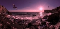 Sea landscape Crimea. Sunset 