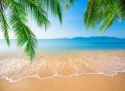 Тропический пляж 3