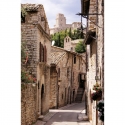 Town Of Assisi