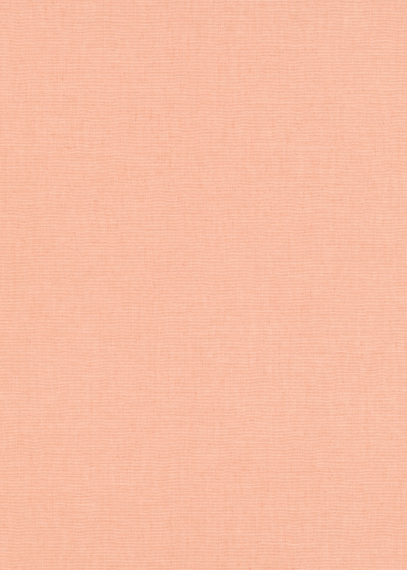 10262-23 / 12143-23 Wallpaper