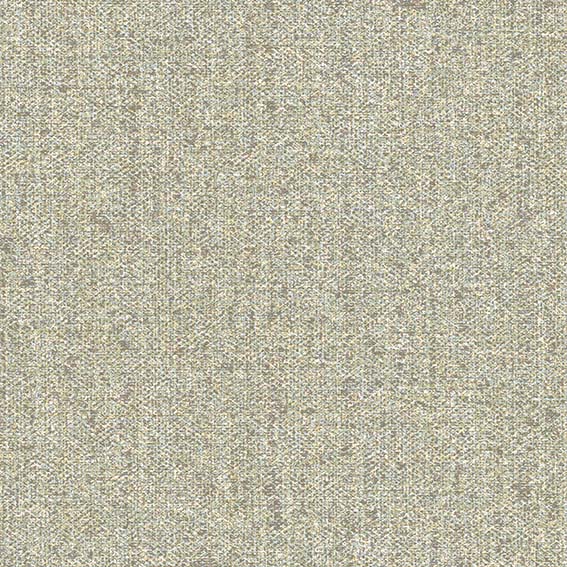 24455 Wallpaper
