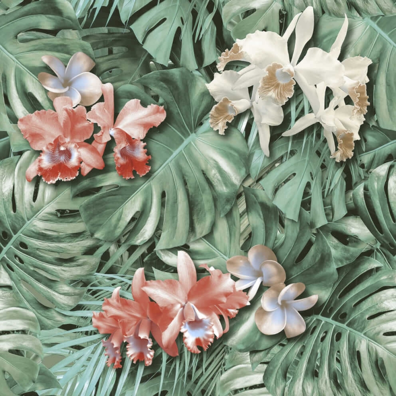 Ecsotic 12476 Wallpaper